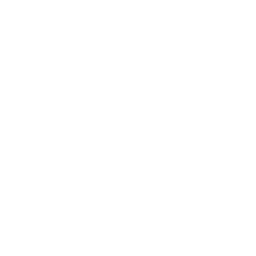 TotemSayer™
